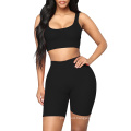 Two Piece Seamless Sports Suit Activewear Set  for women